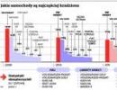 Sprawdź, jakie samochody są najczęściej kradzione. Uwaga, złodzieje mają nowy sposób