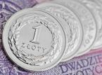 Wicepremier o autach z kratką - Celem jest pełne odliczenie VAT