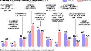 Powody wspólnej realizacji projektu