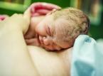 Efekt 500 zł na dziecko: To już pewne. Mamy baby boom