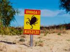 Pogoda na szczepienia przeciw kleszczom