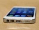 Apple poniżej 500 dolarów za akcję – po raz pierwszy od lutego