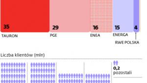 Polska energetyka w rękach kilku graczy