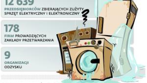 Rynek zbiórki i przetwarzania elektrośmieci tworzy: