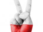 Banki dla Polaków. Po co? Jak? Kto za to zapłaci?