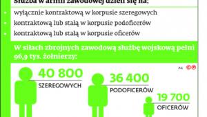 Służba w armii zawodowej dzieli się na: