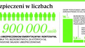 Ubezpieczeni w liczbach