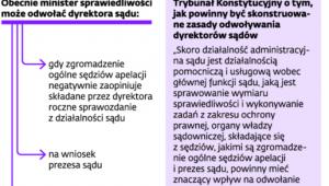 Menedżer czy długie ramie ministra