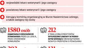 Wyższe stanowiska w służbie cywilnej