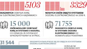 System e-dozoru wykorzystywany tylko w 34 proc.