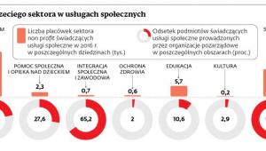 Rola trzeciego sektora w usługach społecznych