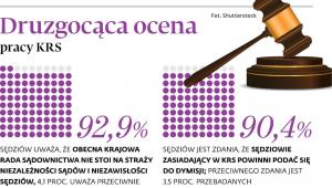 Druzgocąca ocena pracy KRS