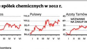 Akcje spółek chemicznych w 2012 r.